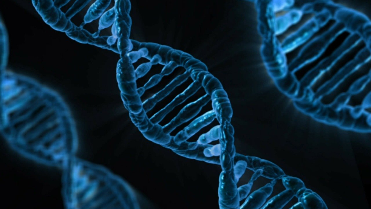 Kiedy warto zrobić badania genetyczne?